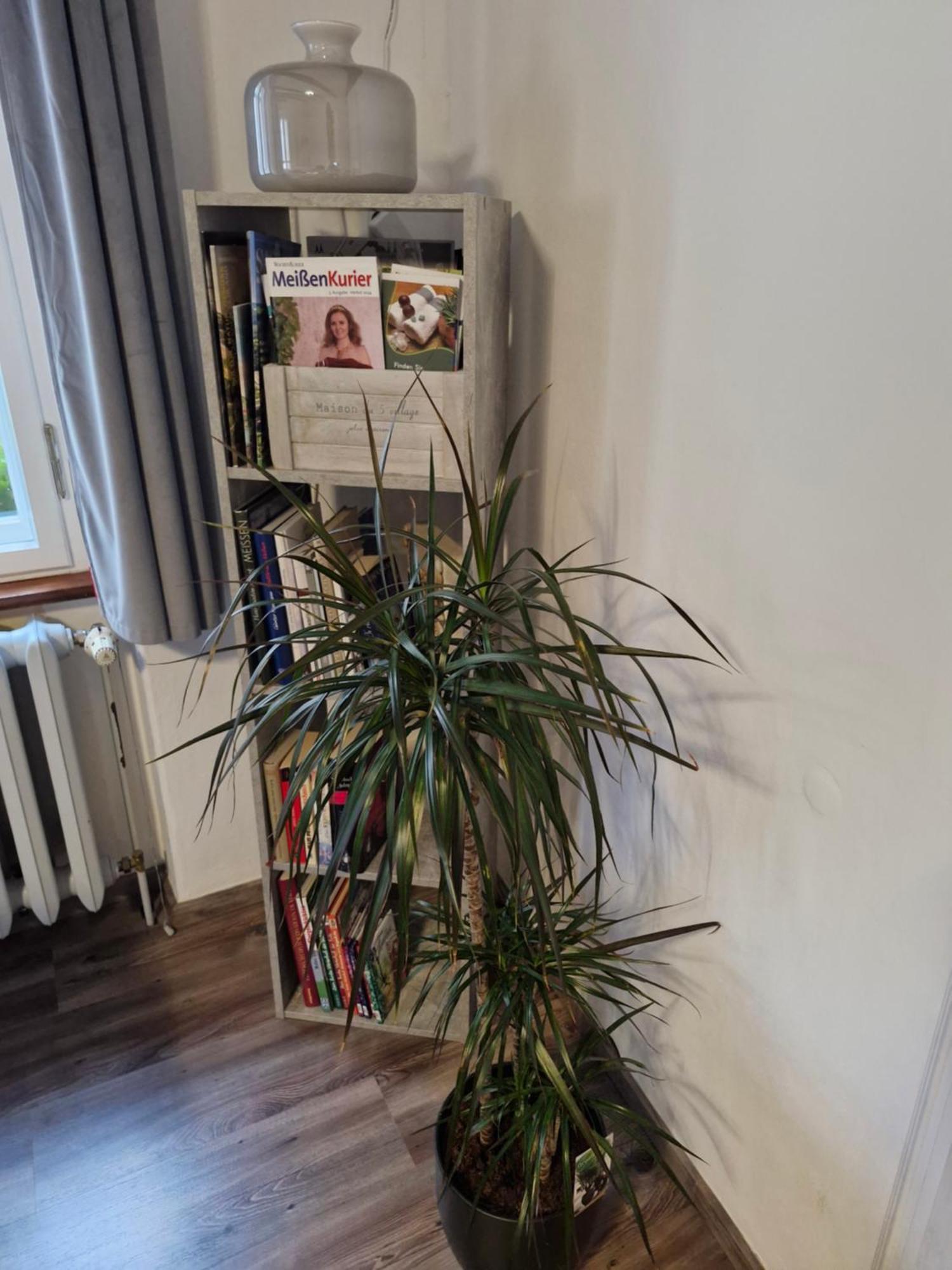 Ferienwohnung Ines Wolf In Der Meissner Innenstadt Meißen Exterior foto